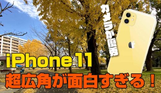 超広角が撮っていて楽しい！iPhone11を購入した感想