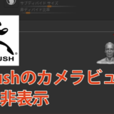 zbrushのカメラビューの表示非表示の方法