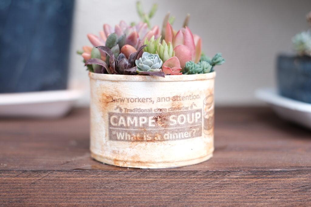 3BE6B762-A8E2-4633-BB3B-