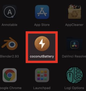 coconutBattery iPad Pro バッテリーの劣化度　調べる