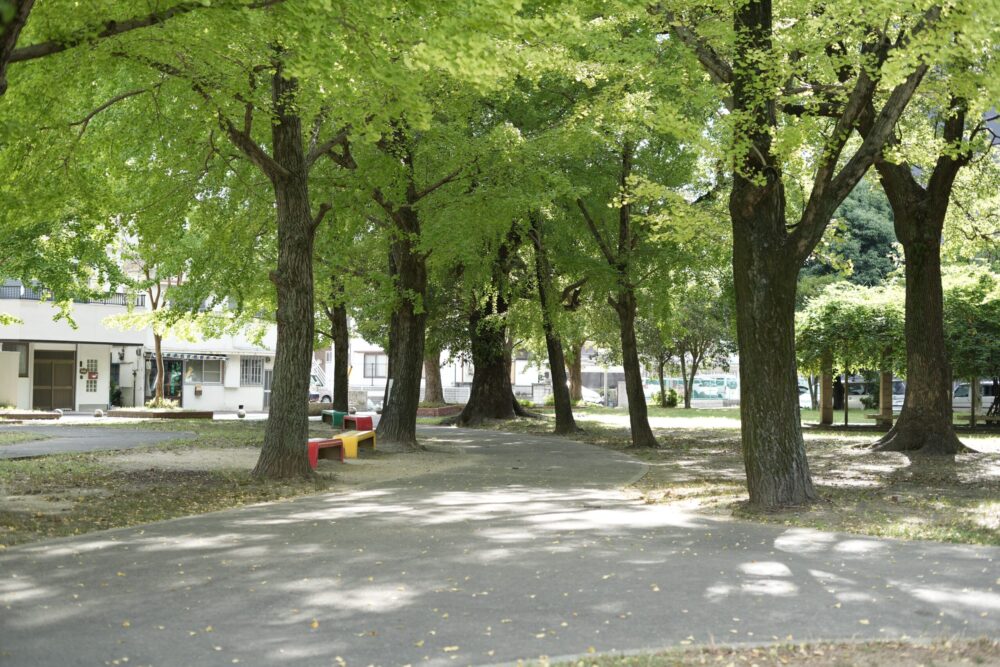 美園公園　和歌山　wakayama メタバース　cluster vr みそのこうえん