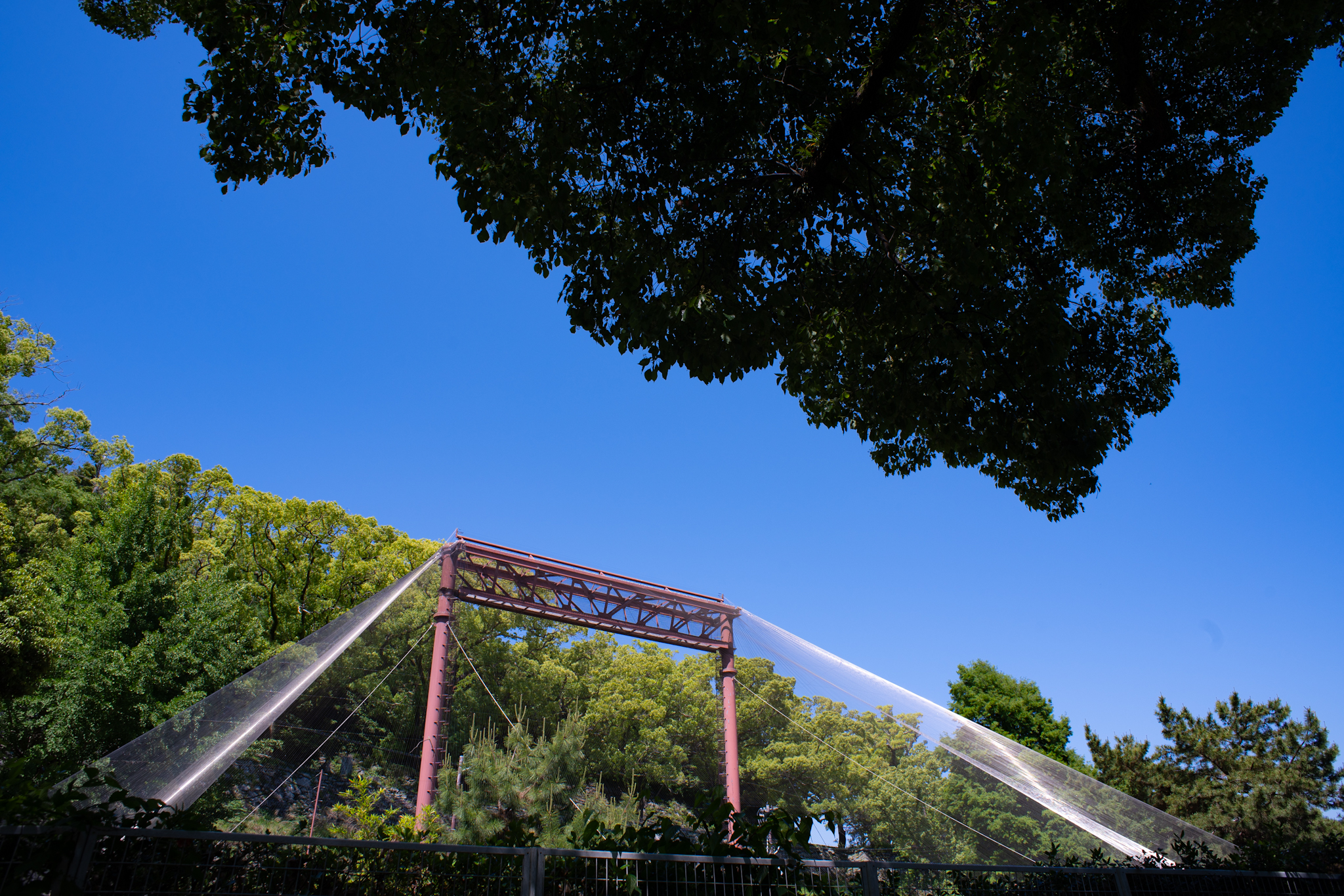 MINOLTA MD 24mm f2.8 和歌山城公園