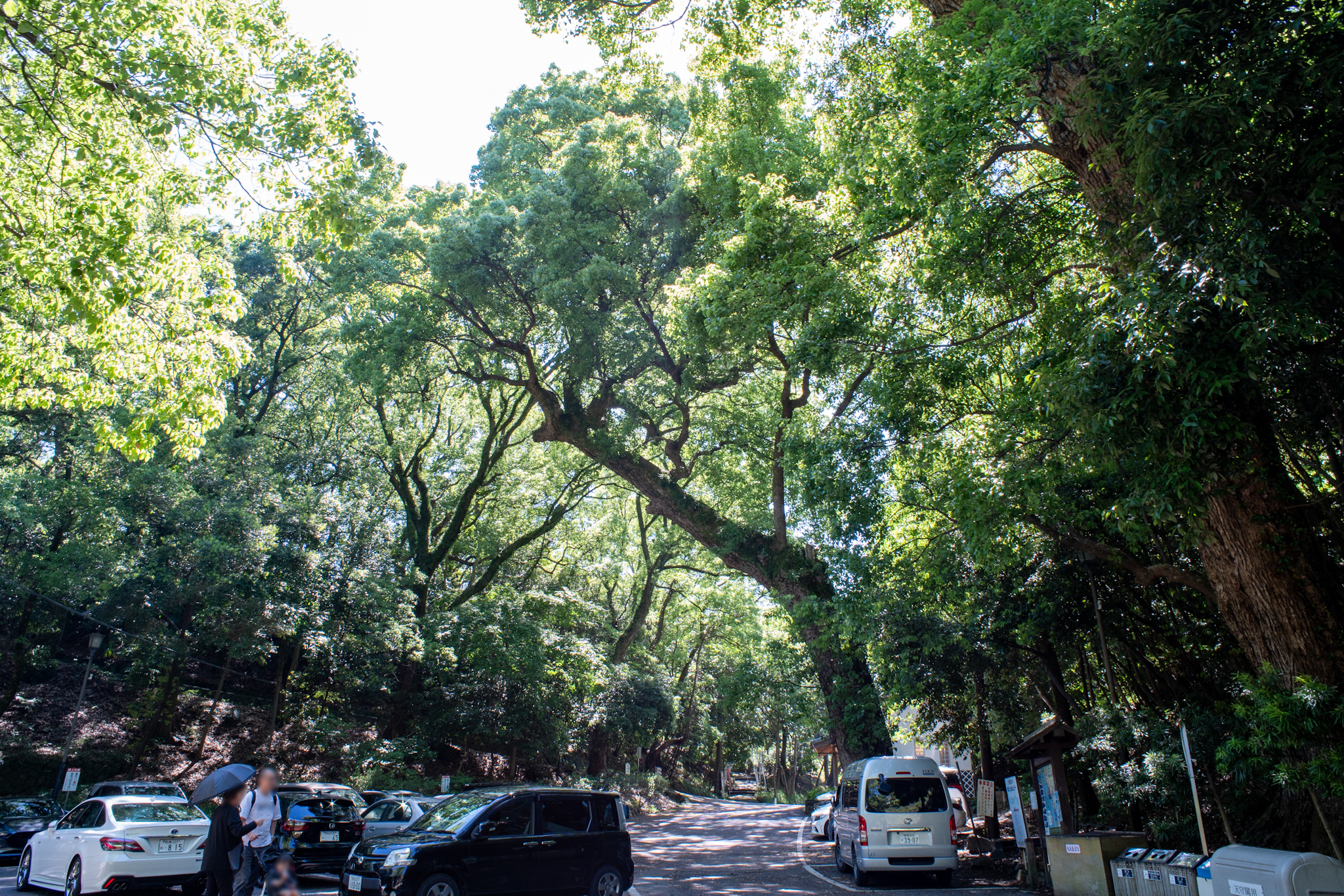 MINOLTA MD 24mm f2.8 和歌山城公園