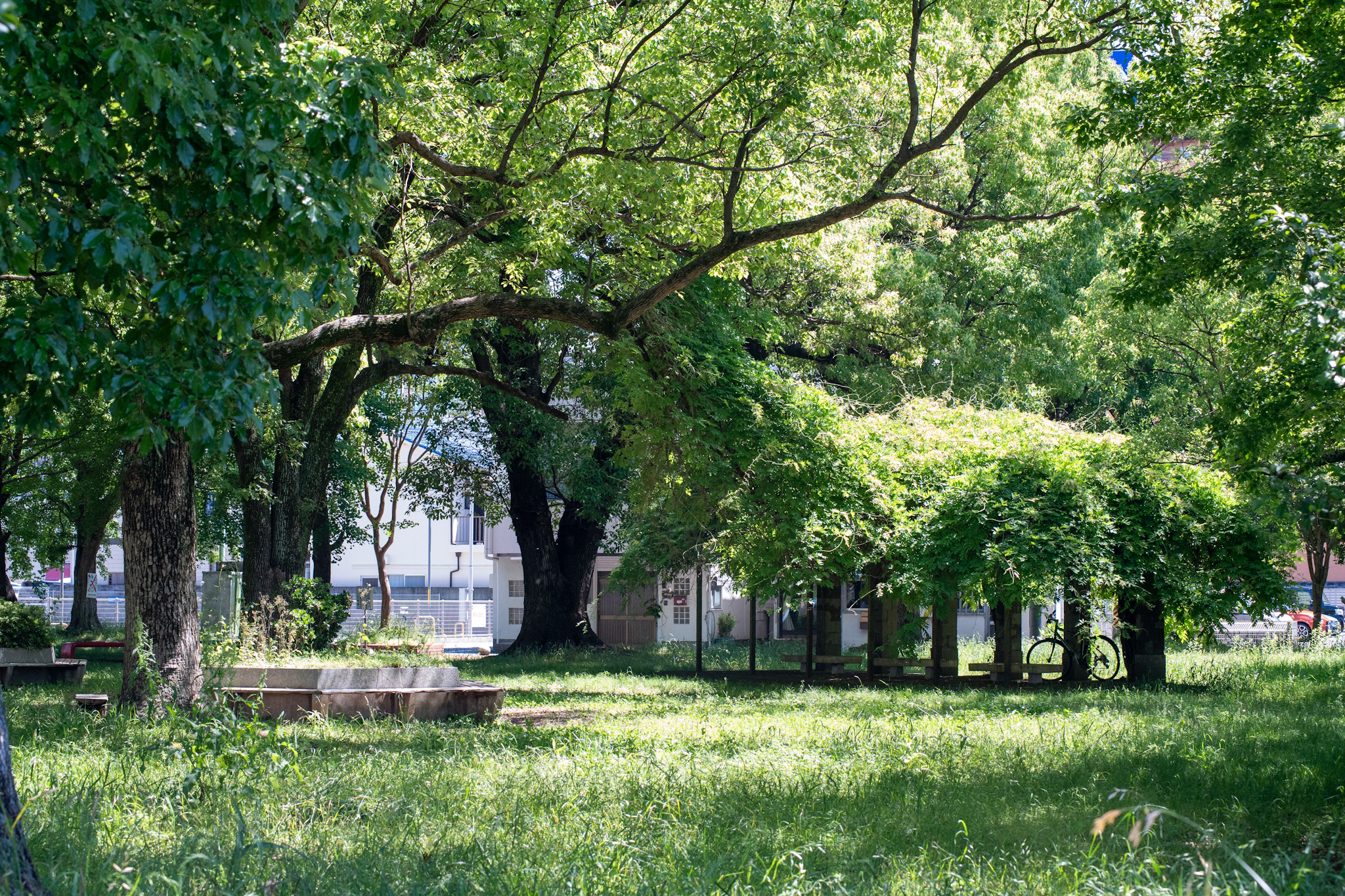 MINOLTA ZOOM 75-150mm f4　美園公園